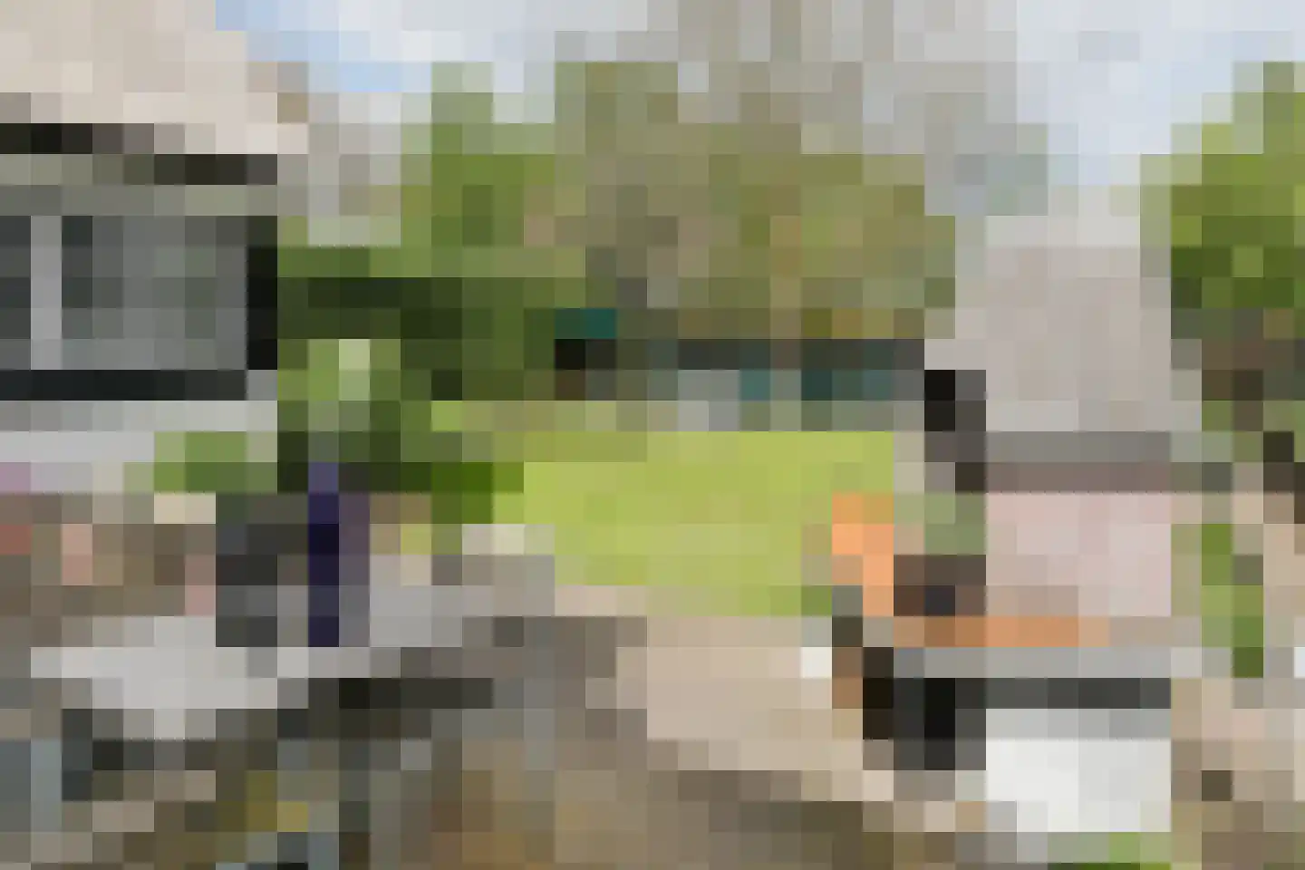Deutersestraat 5 's-Hertogenbosch thumbnail 53