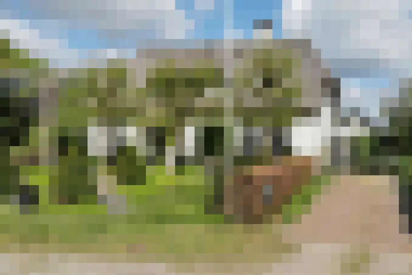 Deutersestraat 5 's-Hertogenbosch thumbnail 56