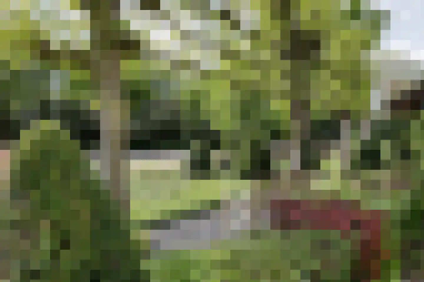 Deutersestraat 5 's-Hertogenbosch thumbnail 60