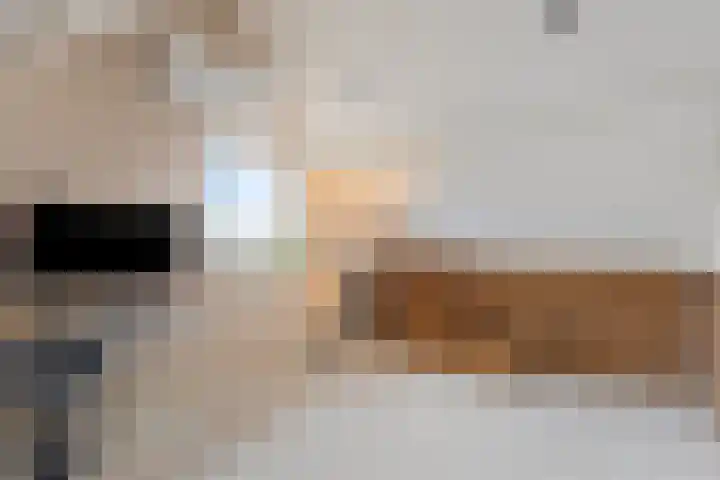 Deutseveldstraat 13 Wehl thumbnail 31