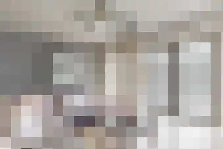 Deutseveldstraat 21 Wehl thumbnail 14