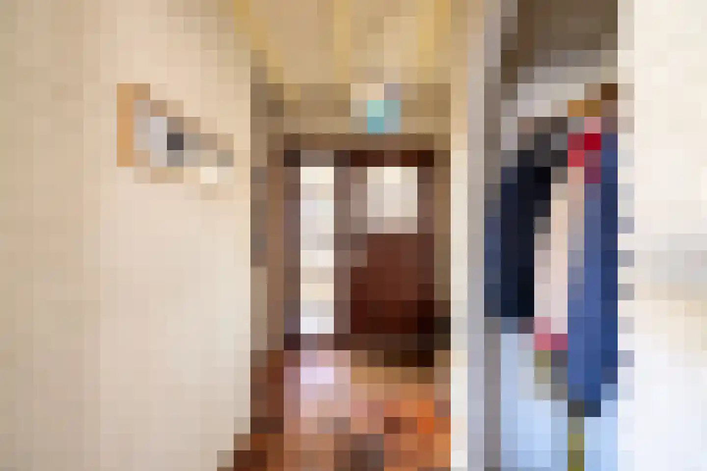 Deutseveldstraat 21 Wehl thumbnail 22