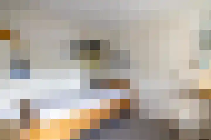 Deutseveldstraat 21 Wehl thumbnail 28