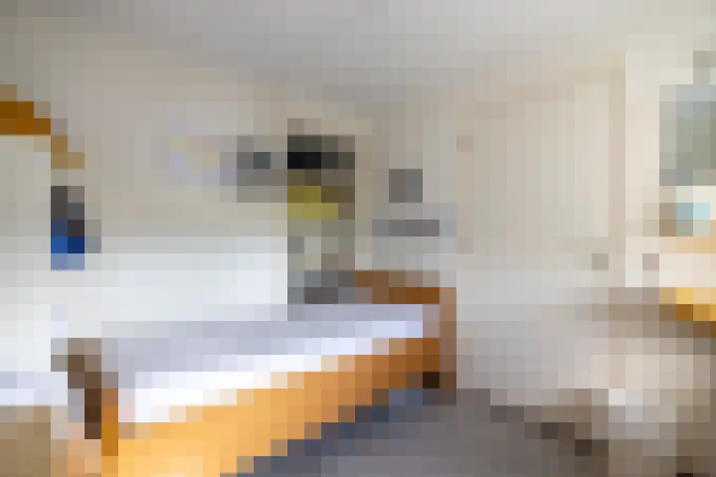 Deutseveldstraat 21 Wehl thumbnail 28