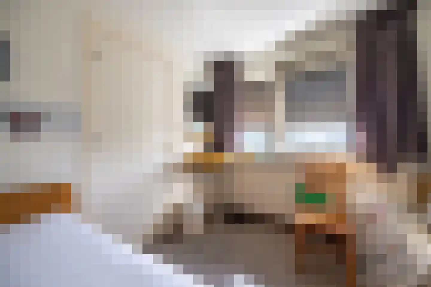 Deutseveldstraat 21 Wehl thumbnail 29