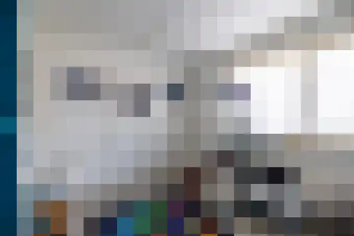 Deutseveldstraat 21 Wehl thumbnail 32