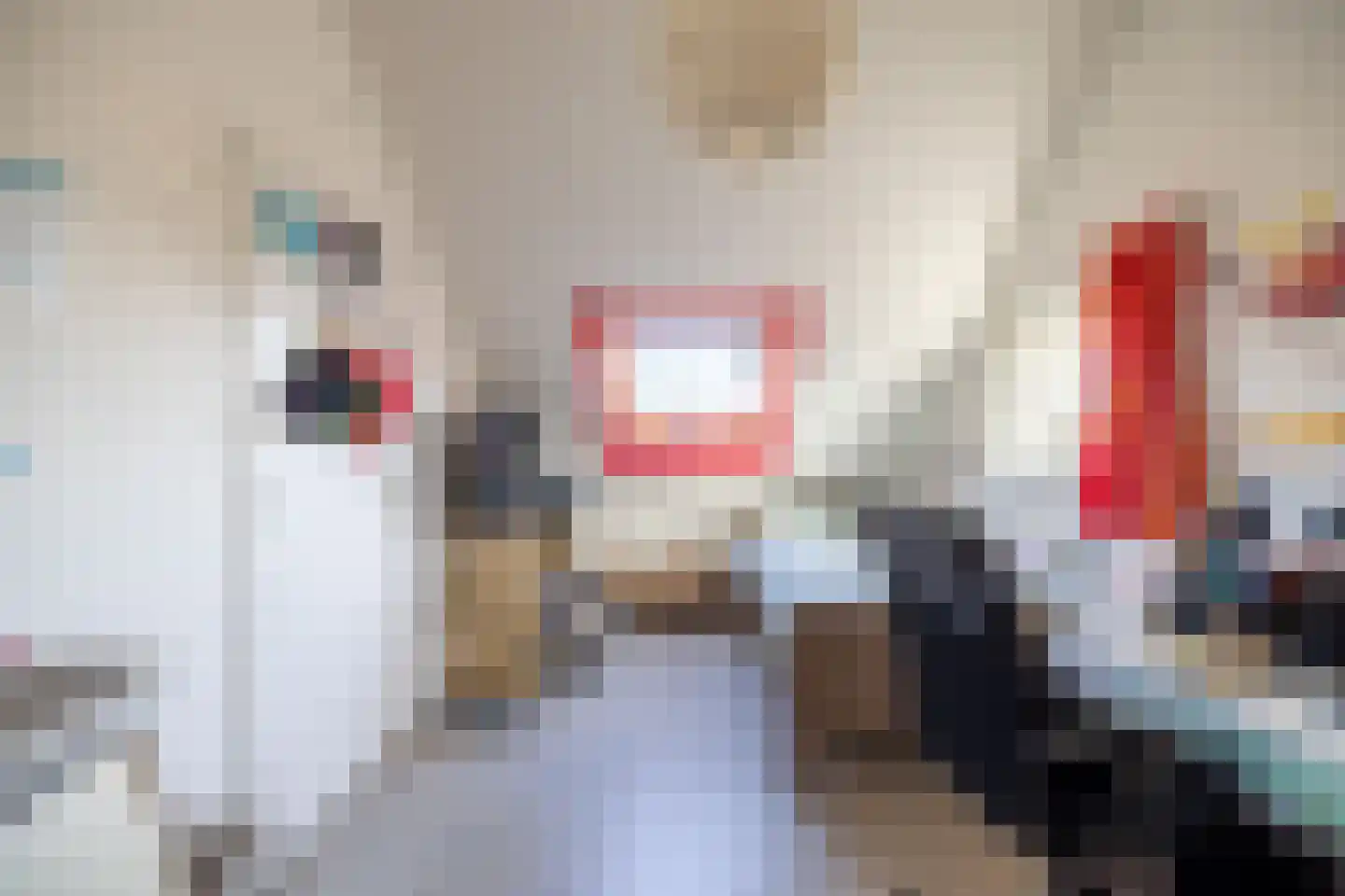 Deutseveldstraat 21 Wehl thumbnail 42