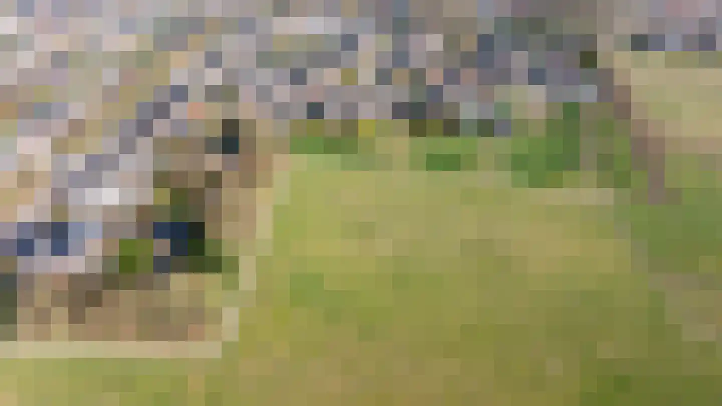 Deutseveldstraat 21 Wehl thumbnail 47