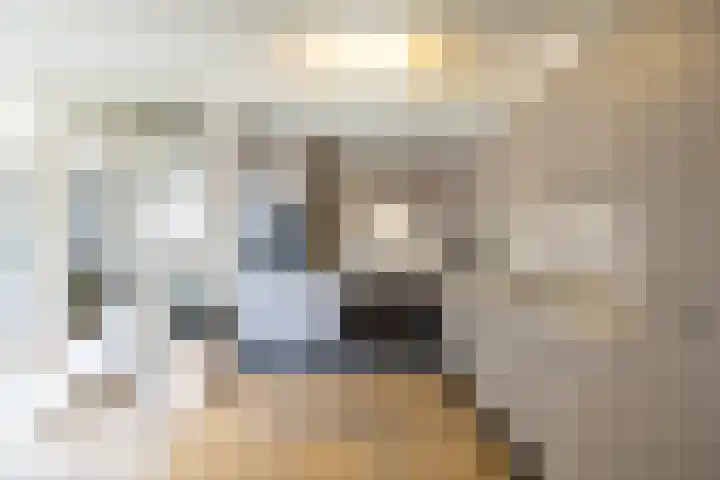 Deutseveldstraat 21 Wehl thumbnail 8