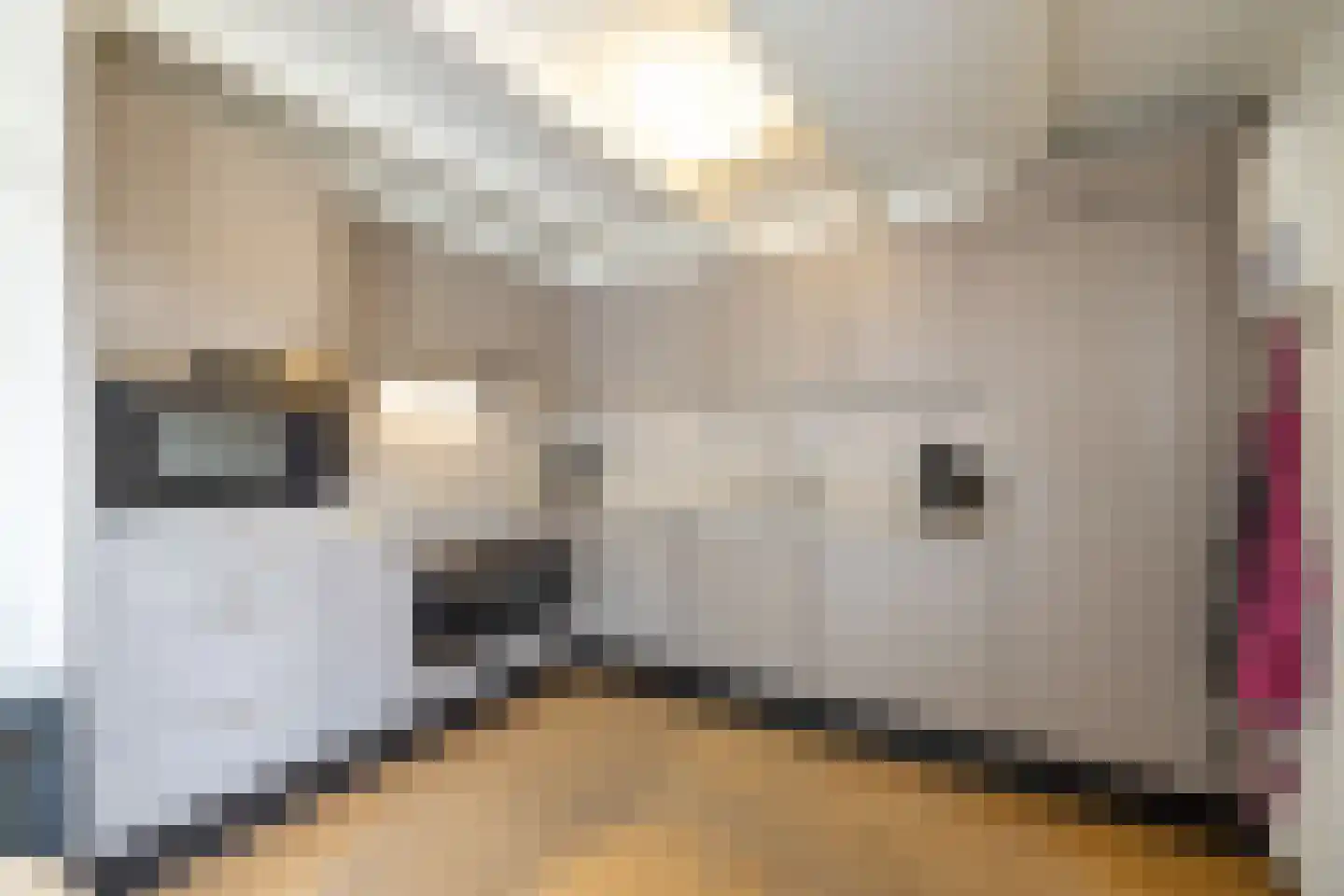 Deutseveldstraat 21 Wehl thumbnail 9