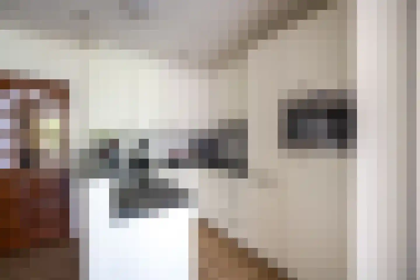 Deutseveldstraat 4 Wehl thumbnail 10