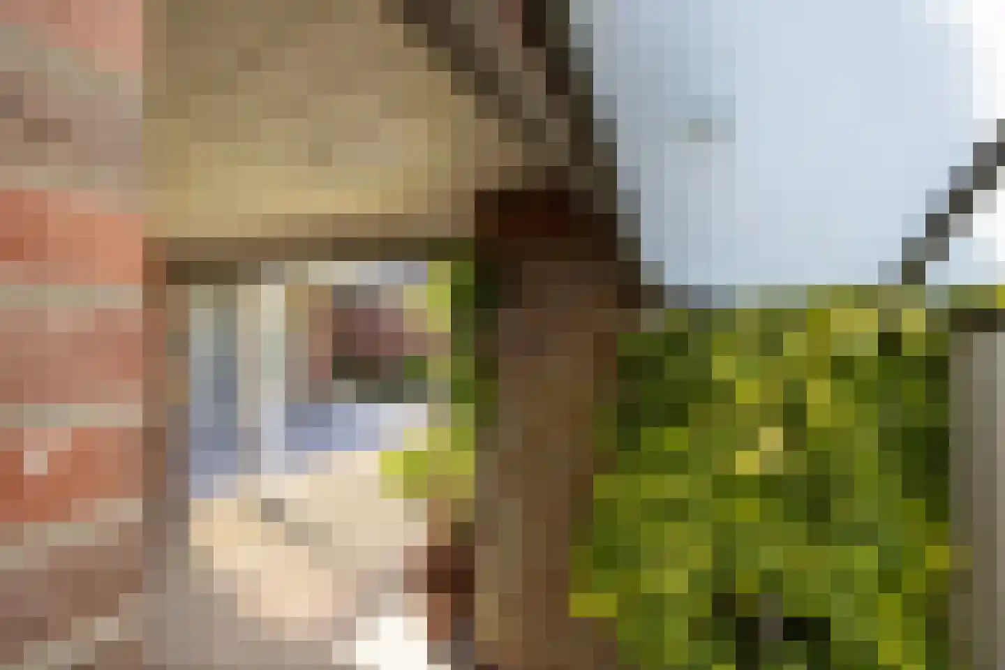 Deutseveldstraat 4 Wehl thumbnail 21