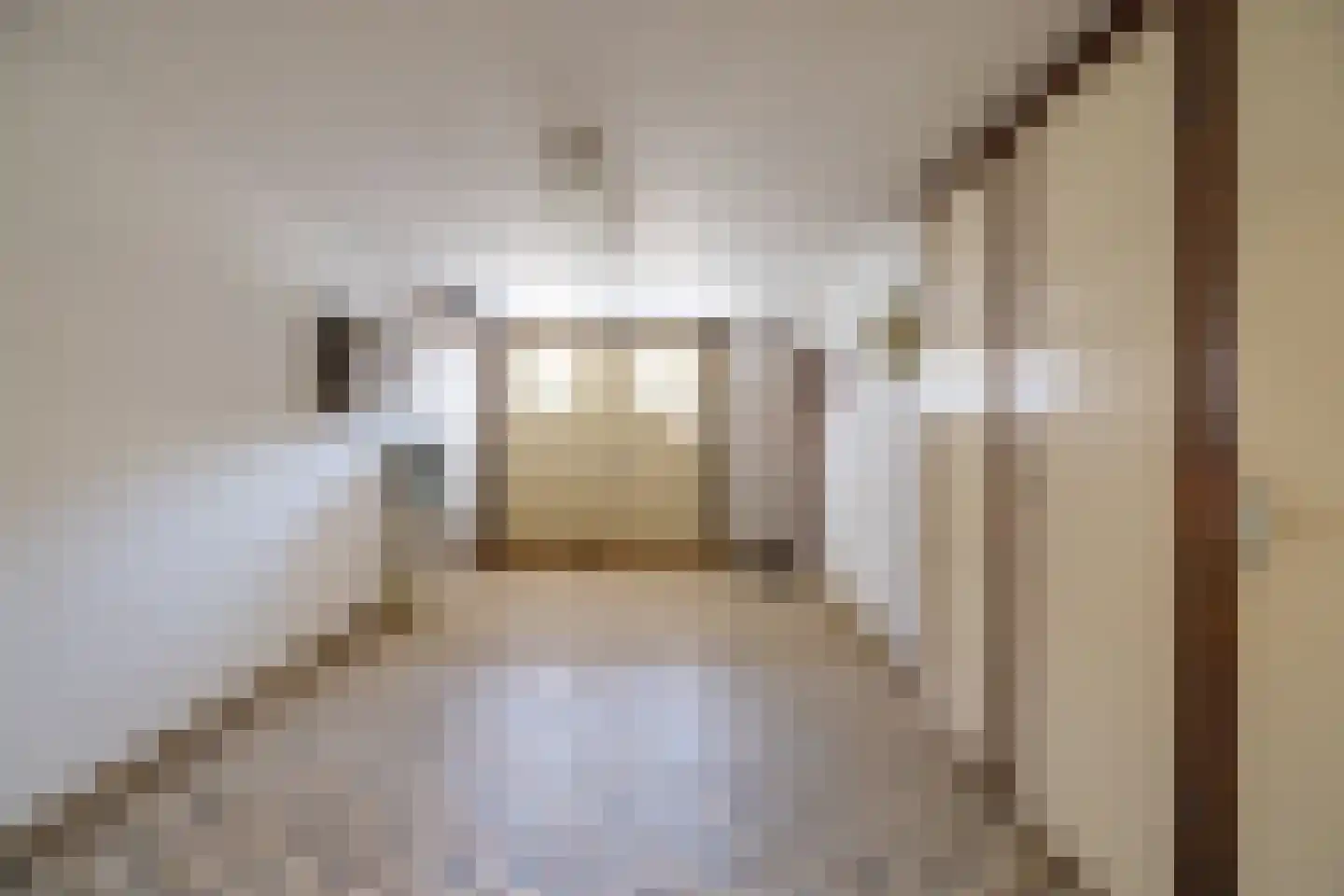 Deutseveldstraat 4 Wehl thumbnail 33