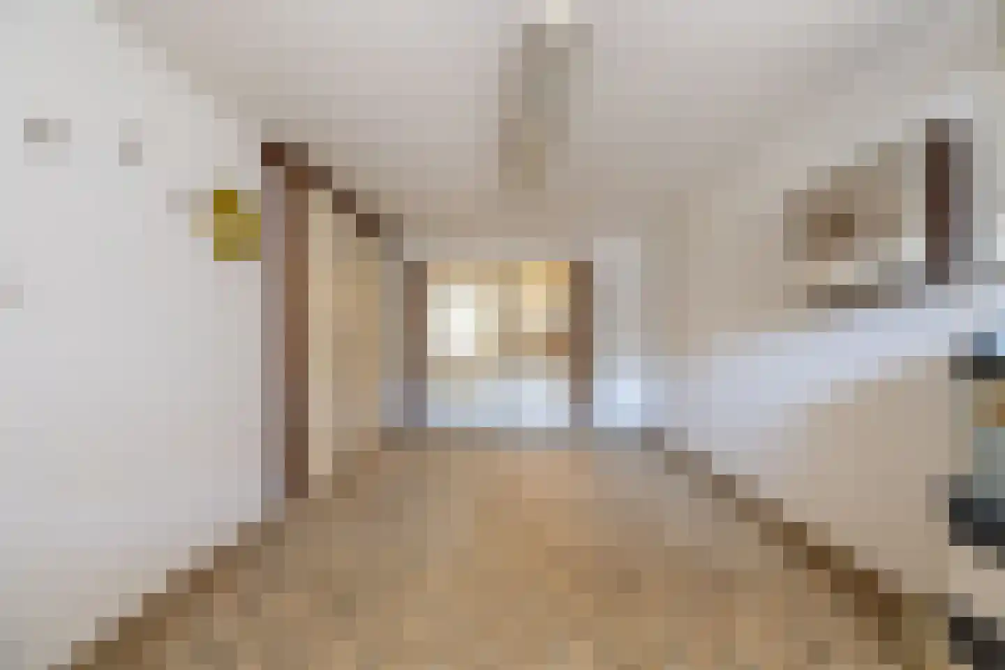 Deutseveldstraat 4 Wehl thumbnail 34