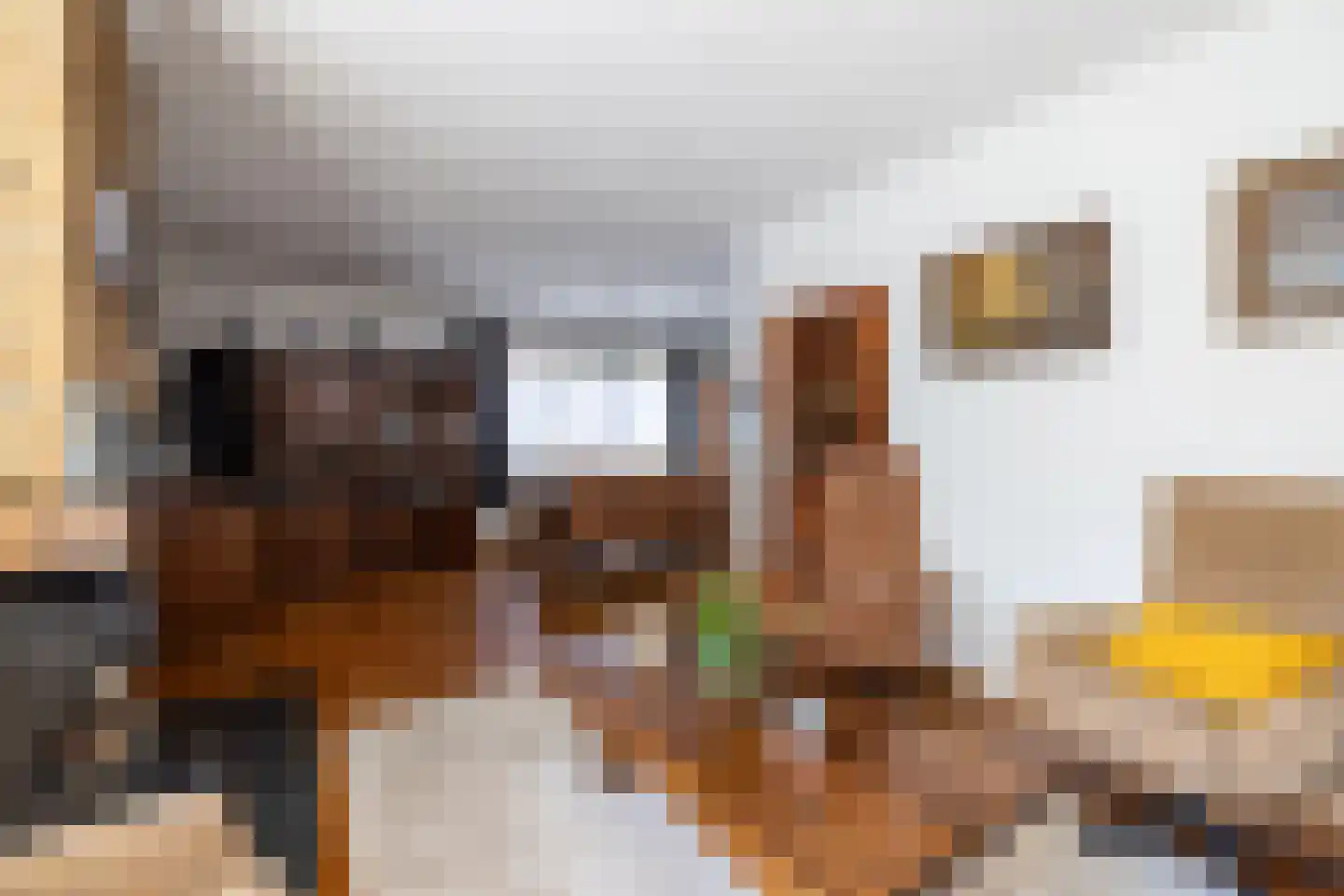 Deutseveldstraat 4 Wehl thumbnail 5