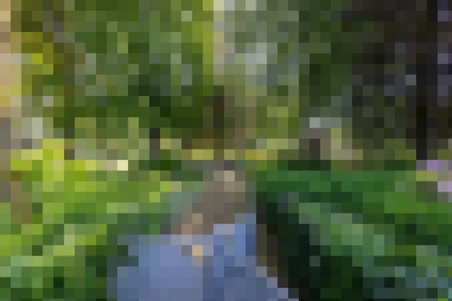 Deutseveldstraat 4 Wehl thumbnail 66