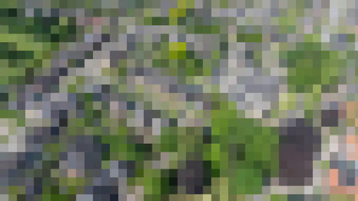 Deutseveldstraat 4 Wehl thumbnail 68