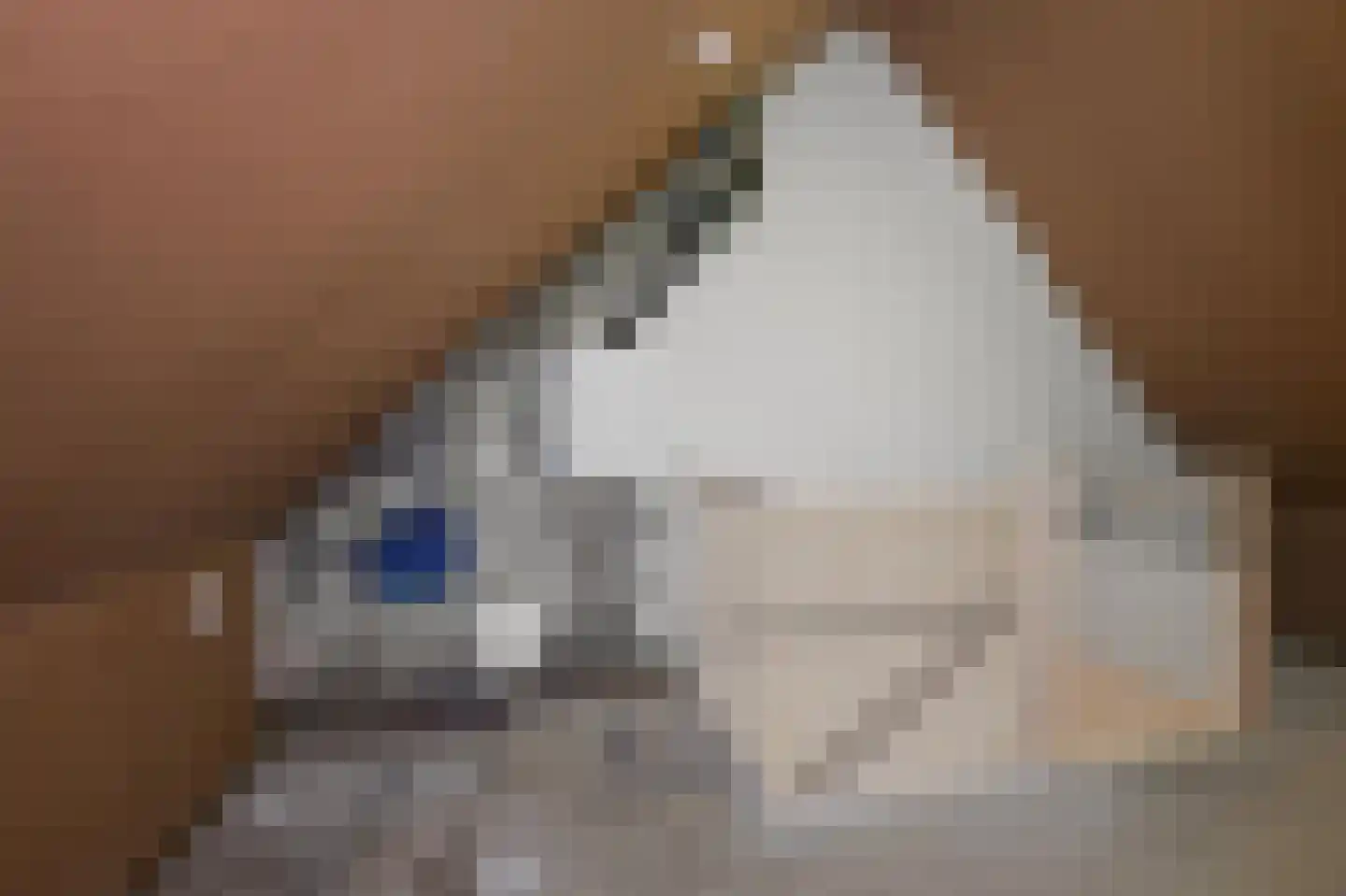 Deutzhof 14 Assendelft thumbnail 20