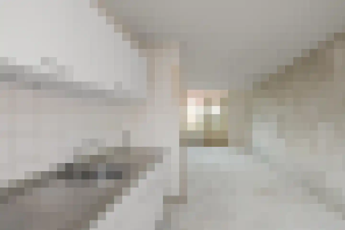 Deutzhof 14 Assendelft thumbnail 5