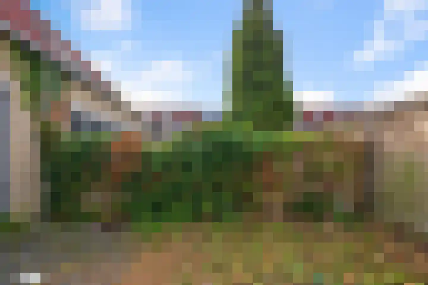 Deutzhof 14 Assendelft thumbnail 9