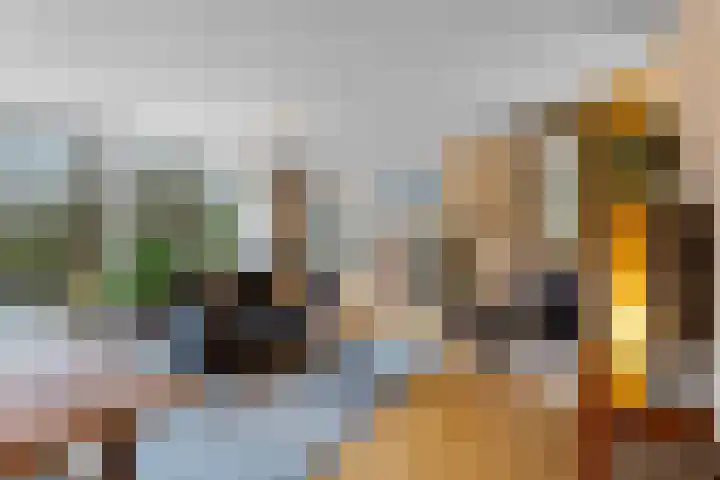 Deutzhof 35 Assendelft thumbnail 10