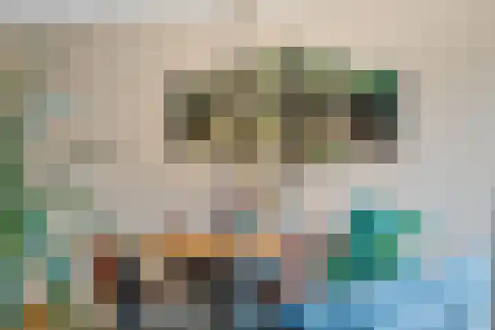 Deutzhof 35 Assendelft thumbnail 13