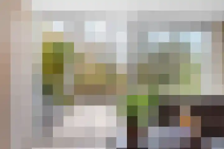 Deutzhof 35 Assendelft thumbnail 19