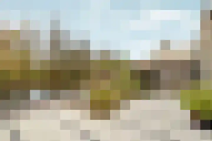Deutzhof 35 Assendelft thumbnail 21