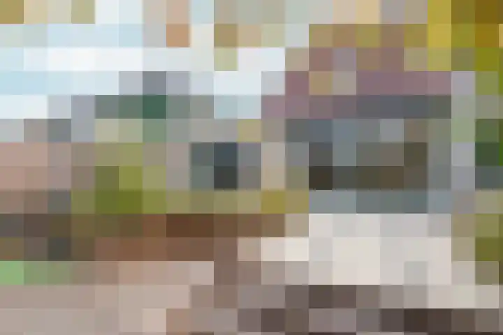 Deutzhof 35 Assendelft thumbnail 22