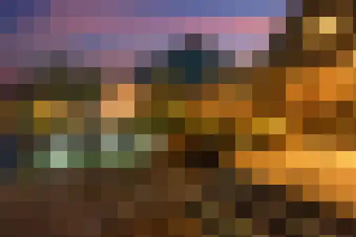 Deutzhof 35 Assendelft thumbnail 23