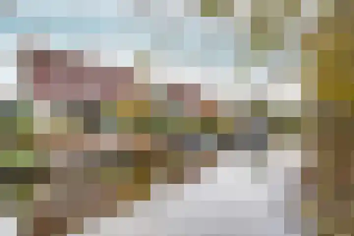 Deutzhof 35 Assendelft thumbnail 24