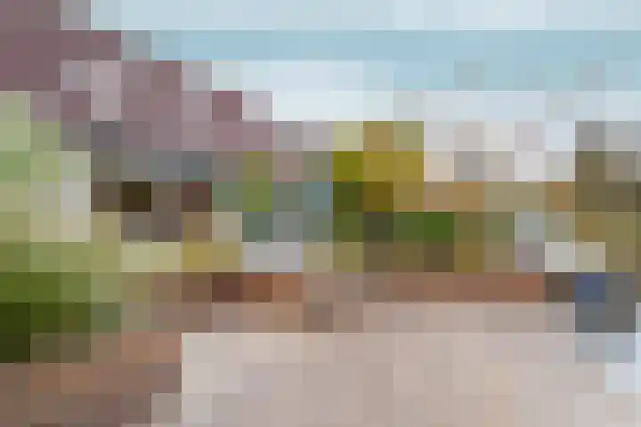 Deutzhof 35 Assendelft thumbnail 25
