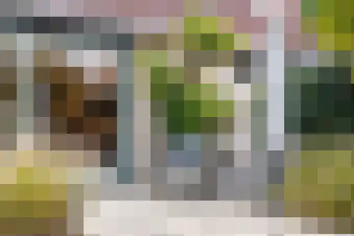 Deutzhof 35 Assendelft thumbnail 26