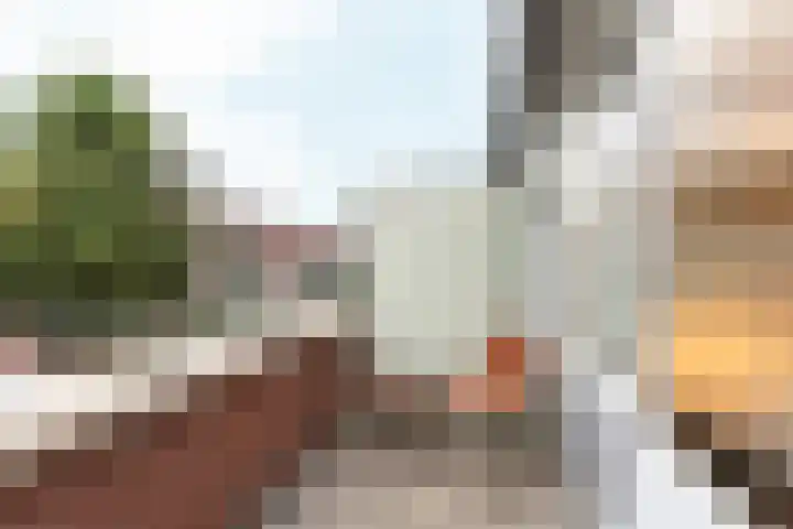 Deutzhof 35 Assendelft thumbnail 32