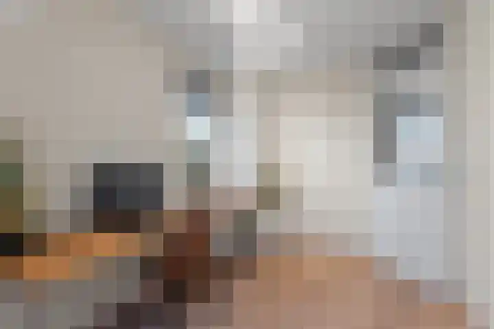 Deutzhof 35 Assendelft thumbnail 34