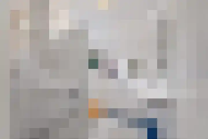 Deutzhof 35 Assendelft thumbnail 37