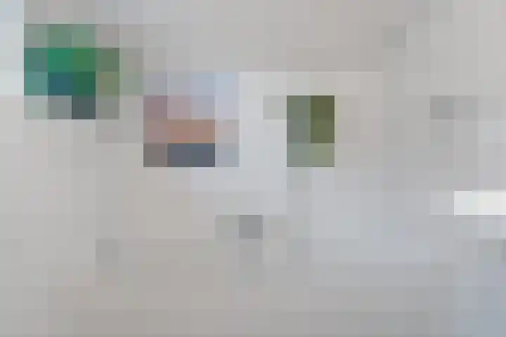 Deutzhof 35 Assendelft thumbnail 38