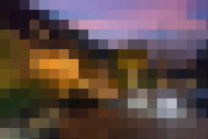 Deutzhof 35 Assendelft thumbnail 4