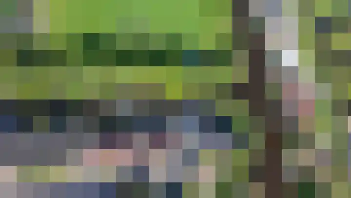 Deutzhof 35 Assendelft thumbnail 5