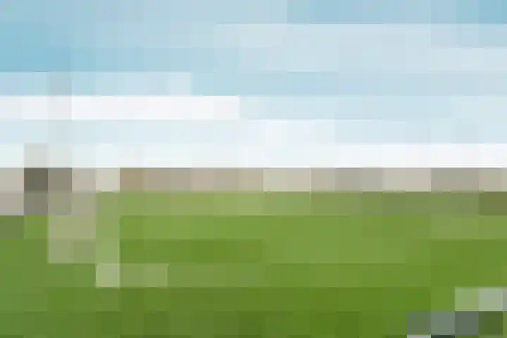 Deutzhof 35 Assendelft thumbnail 50
