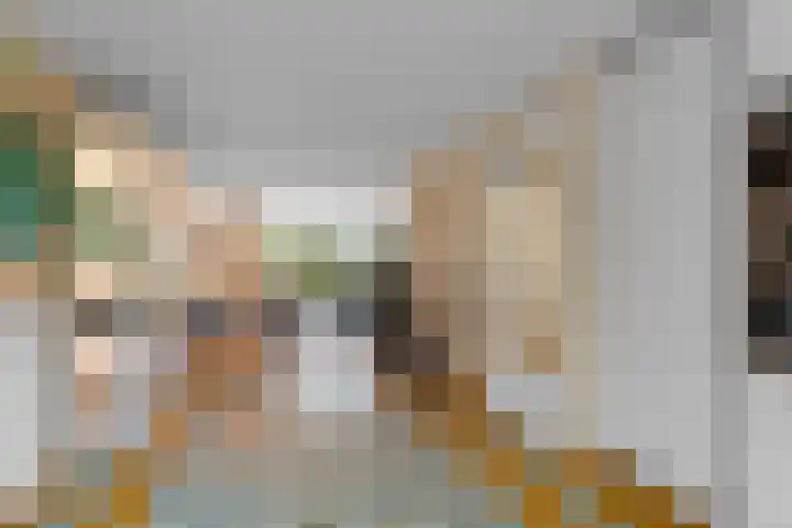 Deutzhof 35 Assendelft thumbnail 8