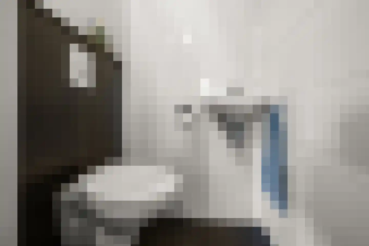 Deutzhof 65 Assendelft thumbnail 17