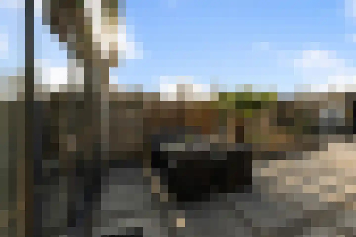 Deutzhof 65 Assendelft thumbnail 33
