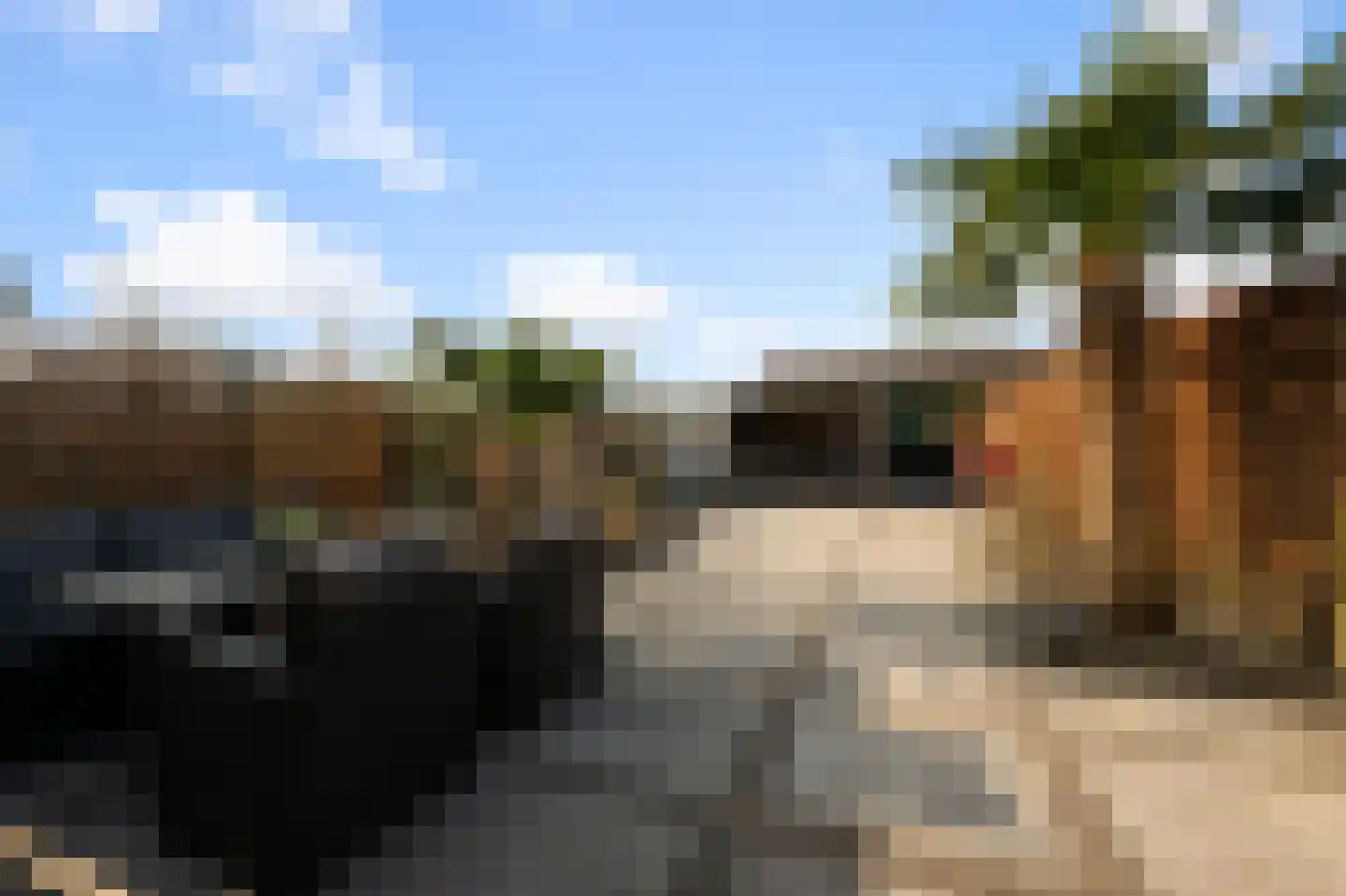 Deutzhof 65 Assendelft thumbnail 35