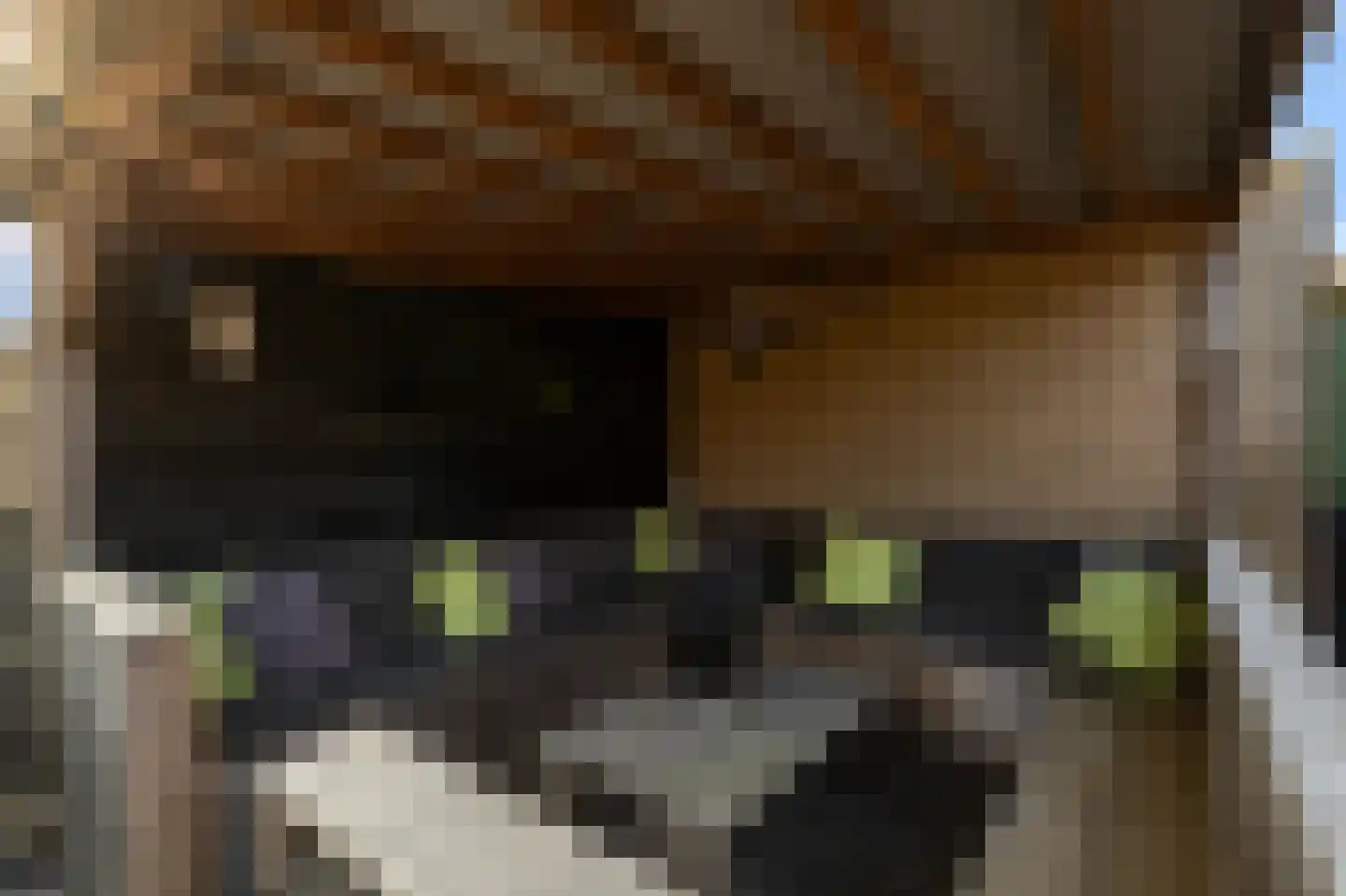 Deutzhof 65 Assendelft thumbnail 37
