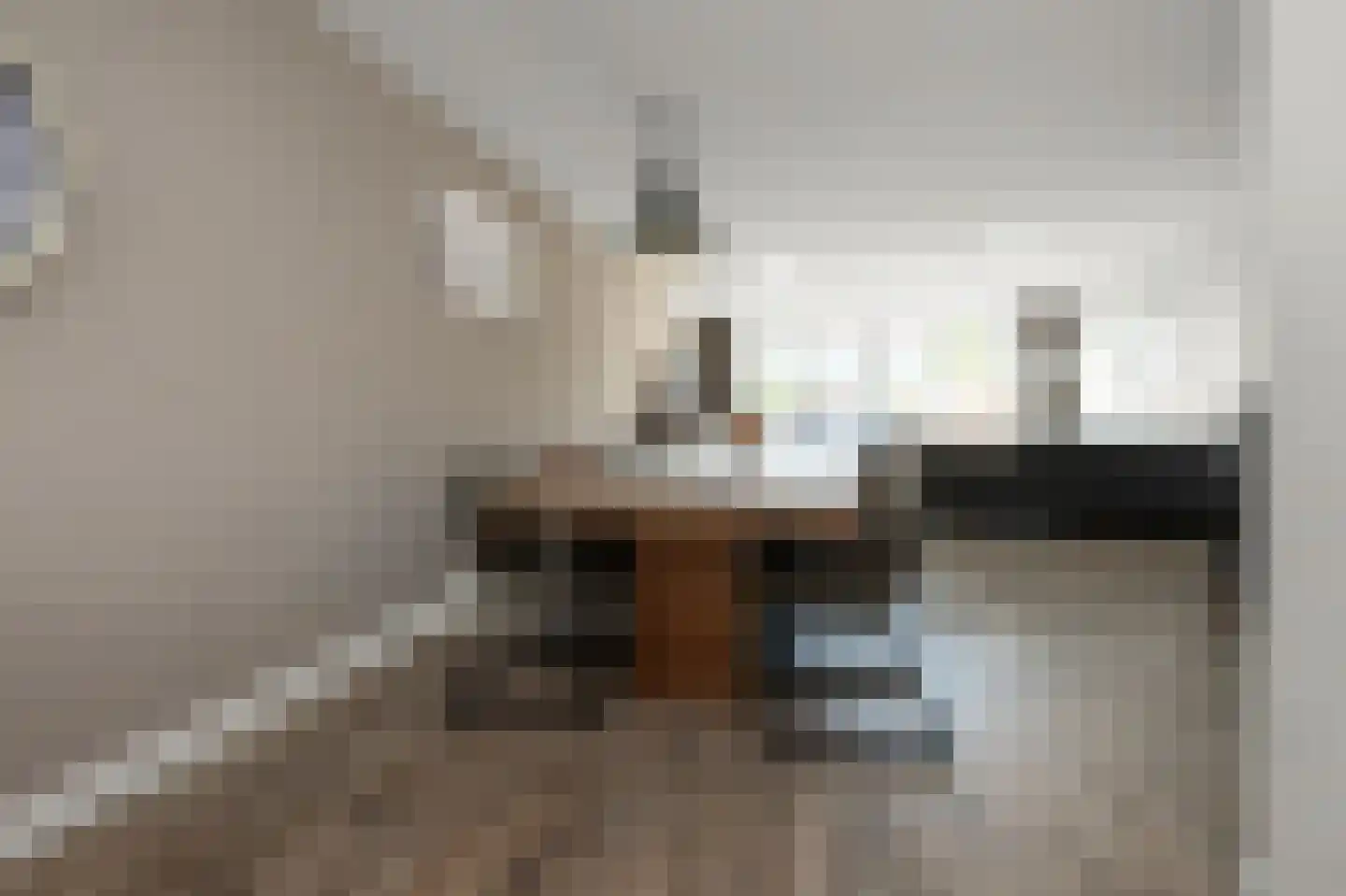 Deutzhof 65 Assendelft thumbnail 5