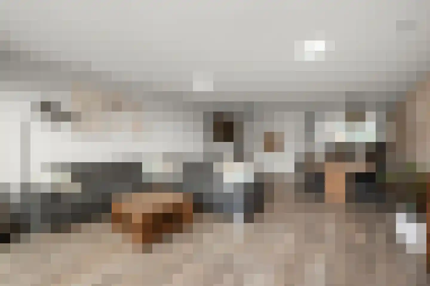 Deutzhof 65 Assendelft thumbnail 8