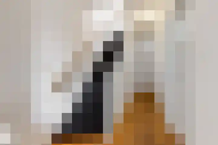 Deutzstraat 15 Oegstgeest thumbnail 20