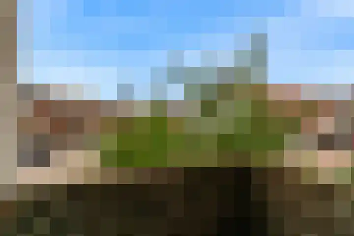 Deutzstraat 15 Oegstgeest thumbnail 35