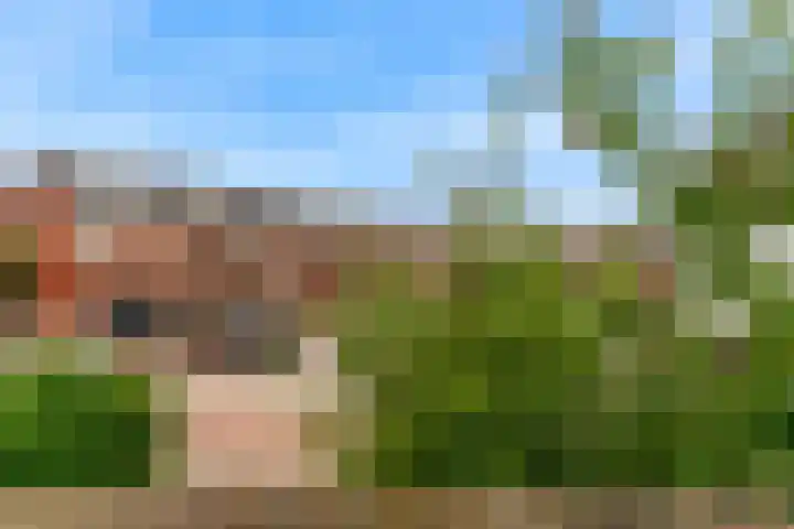 Deutzstraat 15 Oegstgeest thumbnail 36
